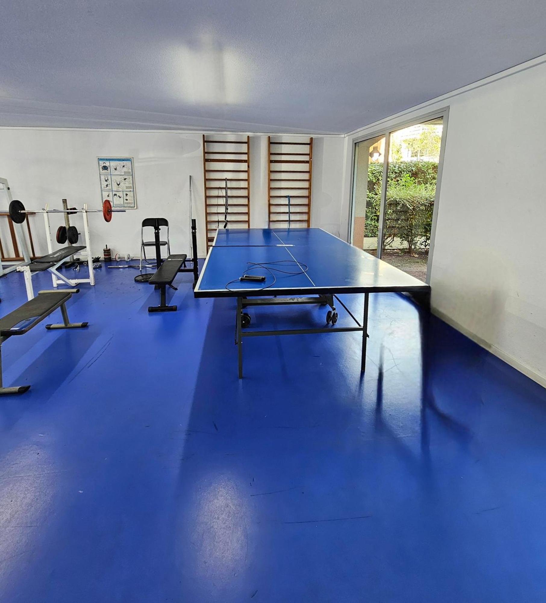 T2 Havre De Paix 2 A 4 P - Terrasse - Parking - Piscine - Salle Sport - Tennis Τουλούζη Εξωτερικό φωτογραφία